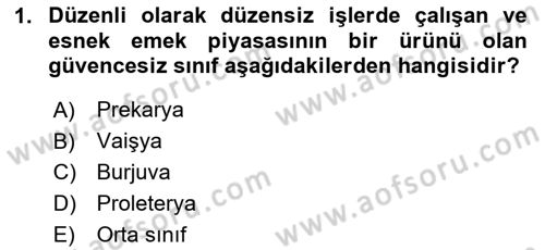 İnsan Davranışı Ve Sosyal Çevre 2 Dersi 2023 - 2024 Yılı (Vize) Ara Sınav Soruları 1. Soru