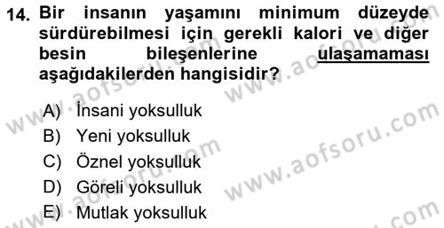 İnsan Davranışı Ve Sosyal Çevre 2 Dersi 2023 - 2024 Yılı (Final) Dönem Sonu Sınav Soruları 14. Soru
