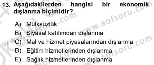 İnsan Davranışı Ve Sosyal Çevre 2 Dersi 2023 - 2024 Yılı Yaz Okulu Sınav Soruları 13. Soru