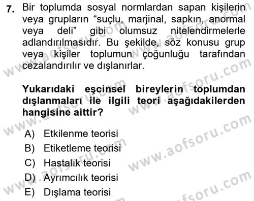 İnsan Davranışı Ve Sosyal Çevre 2 Dersi 2023 - 2024 Yılı Yaz Okulu Sınav Soruları 7. Soru