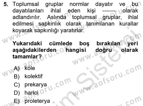 İnsan Davranışı Ve Sosyal Çevre 2 Dersi 2024 - 2025 Yılı (Vize) Ara Sınav Soruları 5. Soru
