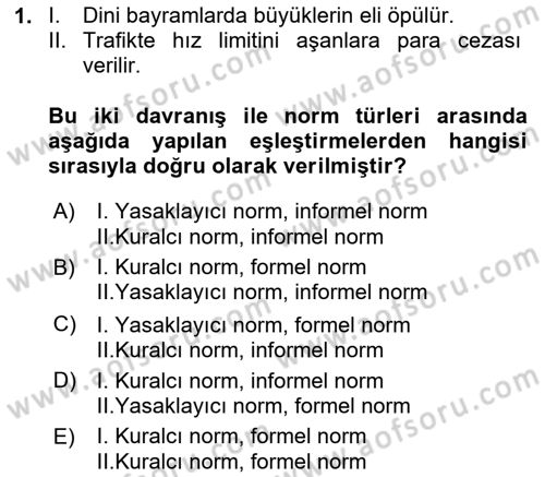 İnsan Davranışı Ve Sosyal Çevre 2 Dersi 2025 - 2026 Yılı (Vize) Ara Sınav Soruları 1. Soru