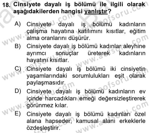 İnsan Davranışı Ve Sosyal Çevre 2 Dersi 2025 - 2026 Yılı (Vize) Ara Sınav Soruları 18. Soru