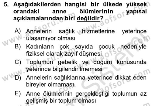 İnsan Davranışı Ve Sosyal Çevre 2 Dersi 2025 - 2026 Yılı (Vize) Ara Sınav Soruları 5. Soru