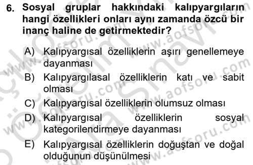 İnsan Davranışı Ve Sosyal Çevre 2 Dersi 2025 - 2026 Yılı (Vize) Ara Sınav Soruları 6. Soru