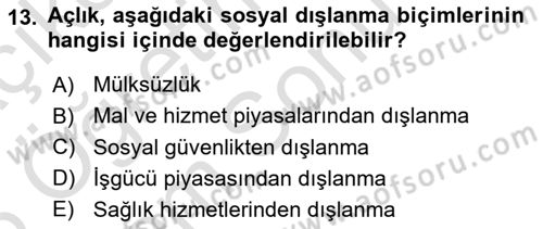 İnsan Davranışı Ve Sosyal Çevre 2 Dersi 2025 - 2026 Yılı (Final) Dönem Sonu Sınav Soruları 13. Soru