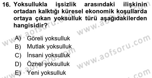 İnsan Davranışı Ve Sosyal Çevre 2 Dersi 2025 - 2026 Yılı (Final) Dönem Sonu Sınav Soruları 16. Soru