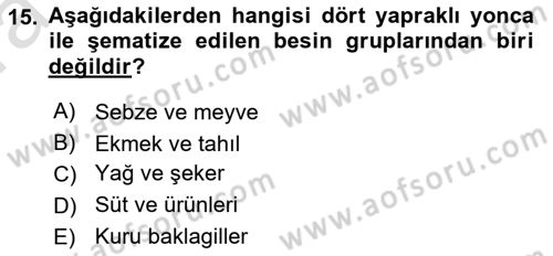 Yaşlılarla Sosyal Hizmet Dersi Ara Sınavı Deneme Sınav Soruları 15. Soru