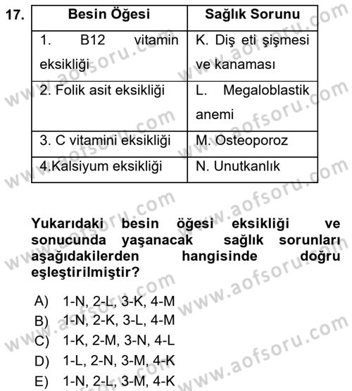Yaşlılarla Sosyal Hizmet Dersi Ara Sınavı Deneme Sınav Soruları 17. Soru