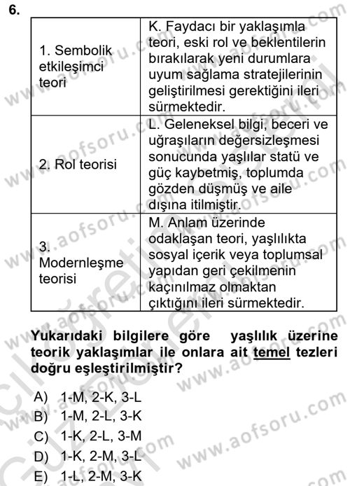 Yaşlılarla Sosyal Hizmet Dersi Ara Sınavı Deneme Sınav Soruları 6. Soru
