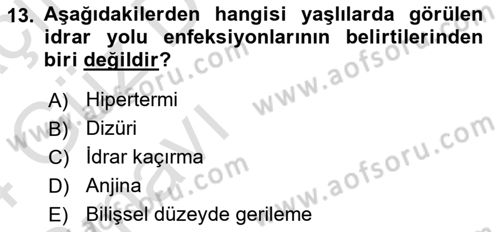 Yaşlılarla Sosyal Hizmet Dersi Ara Sınavı Deneme Sınav Soruları 13. Soru