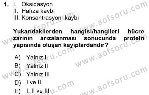 Yaşlılarla Sosyal Hizmet Dersi 2023 - 2024 Yılı Yaz Okulu Sınav Soruları 1. Soru