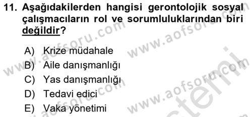 Yaşlılarla Sosyal Hizmet Dersi 2023 - 2024 Yılı Yaz Okulu Sınav Soruları 11. Soru