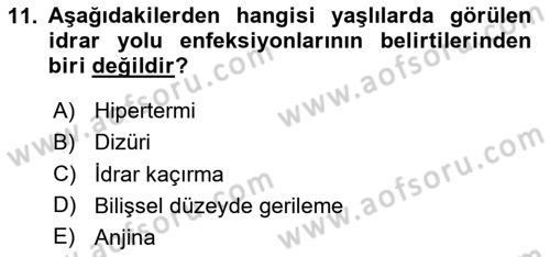 Yaşlılarla Sosyal Hizmet Dersi Ara Sınavı Deneme Sınav Soruları 11. Soru