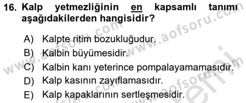 Yaşlılarla Sosyal Hizmet Dersi Ara Sınavı Deneme Sınav Soruları 16. Soru