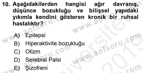 Engellilerle Sosyal Hizmet Dersi 2018 - 2019 Yılı (Final) Dönem Sonu Sınav Soruları 10. Soru