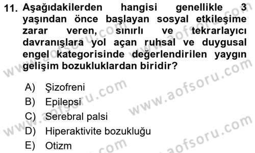Engellilerle Sosyal Hizmet Dersi 2018 - 2019 Yılı Yaz Okulu Sınav Soruları 11. Soru