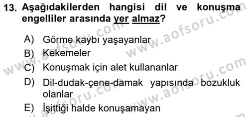 Engellilerle Sosyal Hizmet Dersi 2021 - 2022 Yılı Yaz Okulu Sınav Soruları 13. Soru