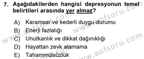 Engellilerle Sosyal Hizmet Dersi 2021 - 2022 Yılı Yaz Okulu Sınav Soruları 7. Soru