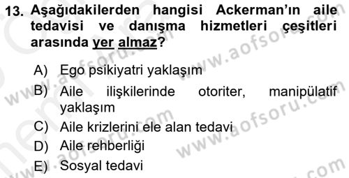 Aile Ve Çocukla Sosyal Hizmet Dersi 2018 - 2019 Yılı (Vize) Ara Sınav Soruları 13. Soru