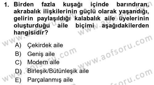 Aile Ve Çocukla Sosyal Hizmet Dersi 2018 - 2019 Yılı Yaz Okulu Sınav Soruları 1. Soru
