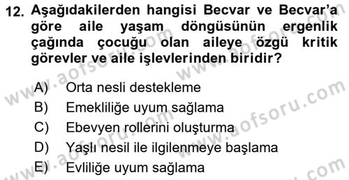 Aile Ve Çocukla Sosyal Hizmet Dersi 2021 - 2022 Yılı (Vize) Ara Sınav Soruları 12. Soru