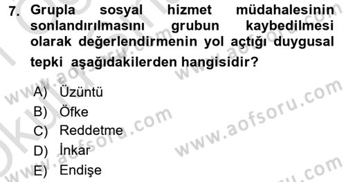 Gruplarla Sosyal Hizmet Dersi 2020 - 2021 Yılı Yaz Okulu Sınav Soruları 7. Soru