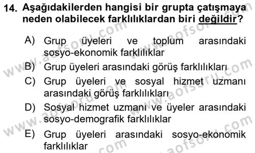 Gruplarla Sosyal Hizmet Dersi 2021 - 2022 Yılı Yaz Okulu Sınavı 14. Soru