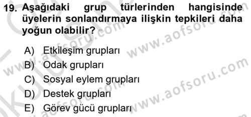 Gruplarla Sosyal Hizmet Dersi 2021 - 2022 Yılı Yaz Okulu Sınavı 19. Soru