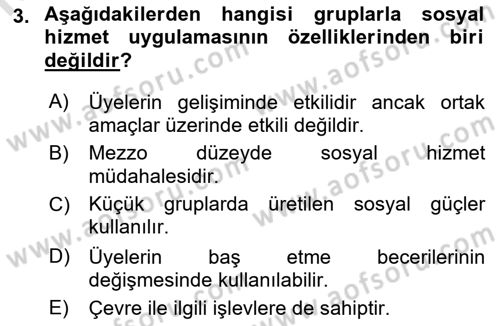 Gruplarla Sosyal Hizmet Dersi Ara Sınavı Deneme Sınav Soruları 3. Soru