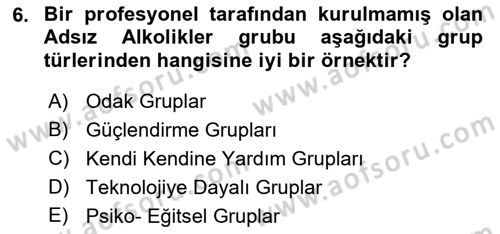 Gruplarla Sosyal Hizmet Dersi Ara Sınavı Deneme Sınav Soruları 6. Soru