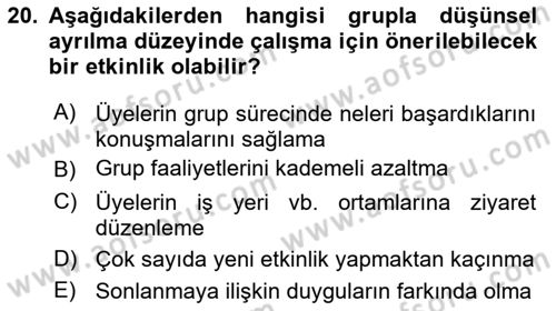 Gruplarla Sosyal Hizmet Dersi 2022 - 2023 Yılı (Final) Dönem Sonu Sınavı 20. Soru