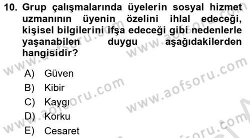 Gruplarla Sosyal Hizmet Dersi 2022 - 2023 Yılı Yaz Okulu Sınavı 10. Soru