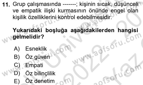 Gruplarla Sosyal Hizmet Dersi 2022 - 2023 Yılı Yaz Okulu Sınavı 11. Soru