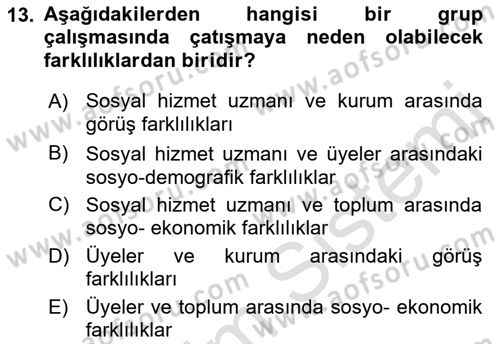 Gruplarla Sosyal Hizmet Dersi 2022 - 2023 Yılı Yaz Okulu Sınavı 13. Soru