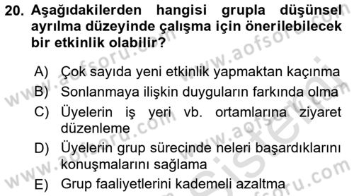 Gruplarla Sosyal Hizmet Dersi 2022 - 2023 Yılı Yaz Okulu Sınavı 20. Soru