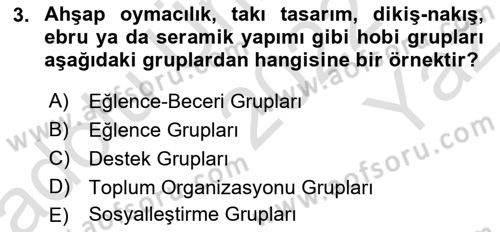 Gruplarla Sosyal Hizmet Dersi 2022 - 2023 Yılı Yaz Okulu Sınavı 3. Soru