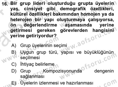 Gruplarla Sosyal Hizmet Dersi 2023 - 2024 Yılı (Vize) Ara Sınav Soruları 16. Soru