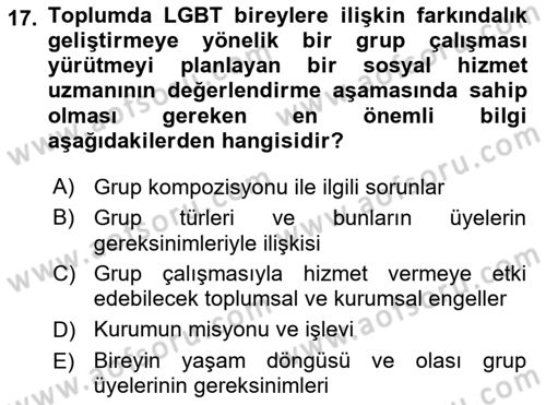 Gruplarla Sosyal Hizmet Dersi 2023 - 2024 Yılı (Vize) Ara Sınav Soruları 17. Soru