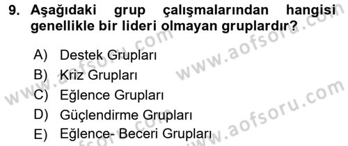 Gruplarla Sosyal Hizmet Dersi Ara Sınavı Deneme Sınav Soruları 9. Soru