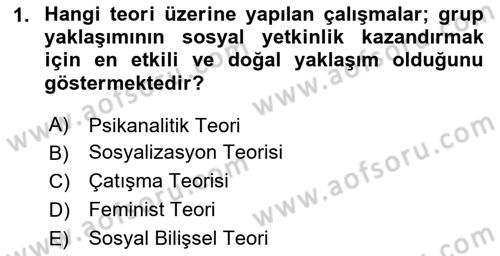 Gruplarla Sosyal Hizmet Dersi 2023 - 2024 Yılı Yaz Okulu Sınav Soruları 1. Soru