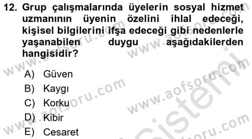 Gruplarla Sosyal Hizmet Dersi 2023 - 2024 Yılı Yaz Okulu Sınav Soruları 12. Soru