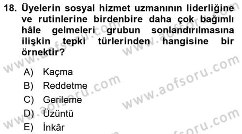 Gruplarla Sosyal Hizmet Dersi 2023 - 2024 Yılı Yaz Okulu Sınav Soruları 18. Soru