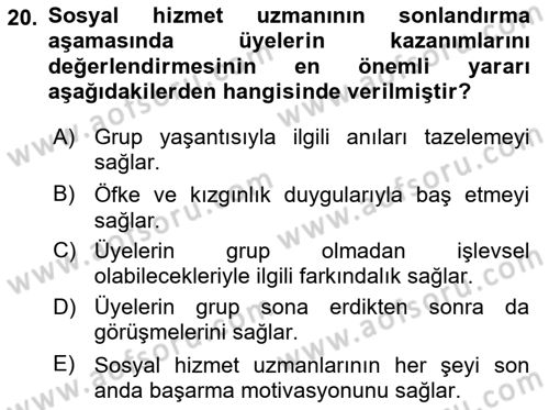 Gruplarla Sosyal Hizmet Dersi 2023 - 2024 Yılı Yaz Okulu Sınavı 20. Soru