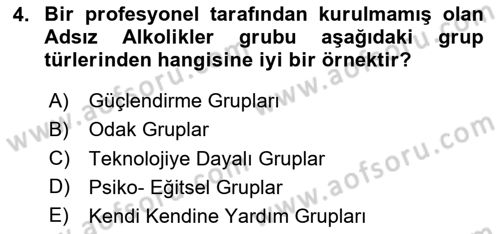 Gruplarla Sosyal Hizmet Dersi 2023 - 2024 Yılı Yaz Okulu Sınav Soruları 4. Soru