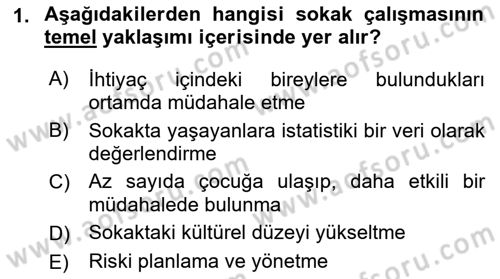 Sokak Sosyal Hizmeti Ve Adli Sosyal Hizmet Dersi 2017 - 2018 Yılı (Vize) Ara Sınav Soruları 1. Soru