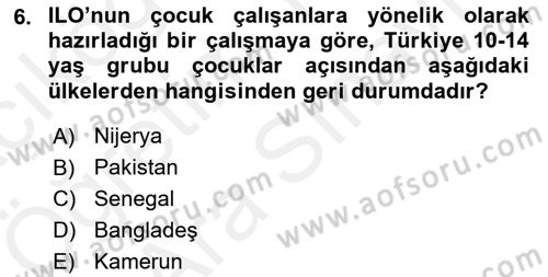 Sokak Sosyal Hizmeti Ve Adli Sosyal Hizmet Dersi 2017 - 2018 Yılı (Vize) Ara Sınav Soruları 6. Soru
