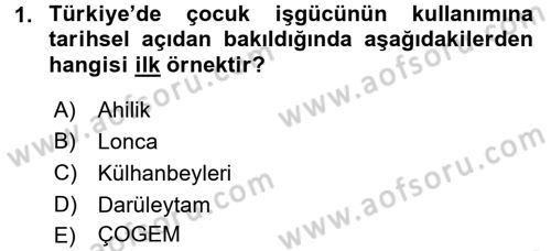 Sokak Sosyal Hizmeti Ve Adli Sosyal Hizmet Dersi 2017 - 2018 Yılı (Final) Dönem Sonu Sınav Soruları 1. Soru