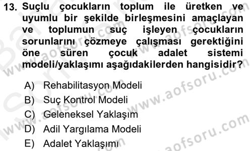 Sokak Sosyal Hizmeti Ve Adli Sosyal Hizmet Dersi 2017 - 2018 Yılı (Final) Dönem Sonu Sınav Soruları 13. Soru