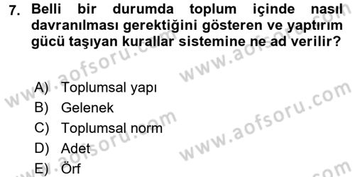 Sokak Sosyal Hizmeti Ve Adli Sosyal Hizmet Dersi 2017 - 2018 Yılı (Final) Dönem Sonu Sınav Soruları 7. Soru